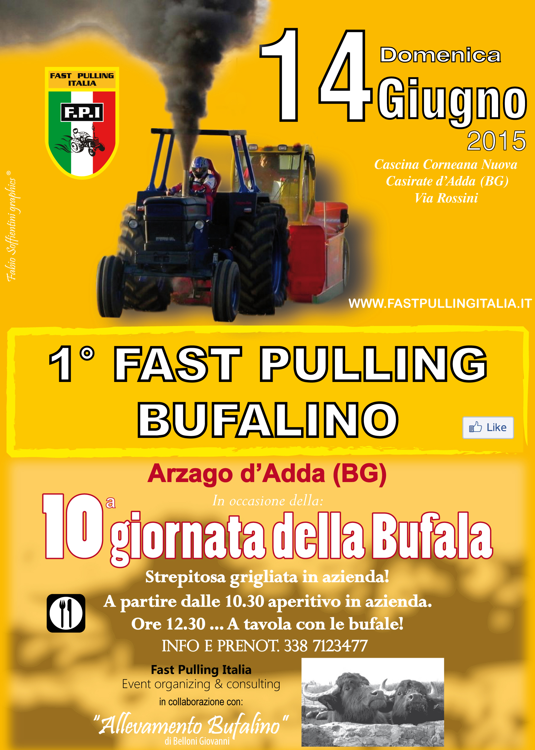 1° FAST PULLING BUFALINO - Arzago d'Adda (BG) - Domenica 14 Giugno 2015